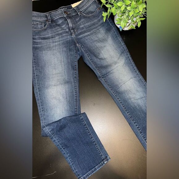 LOFT Modern Skinny Blue Jeans Size 27 Petite NWOT - Picture 1 of 7